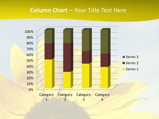 Summer Flower Cloud PowerPoint Template