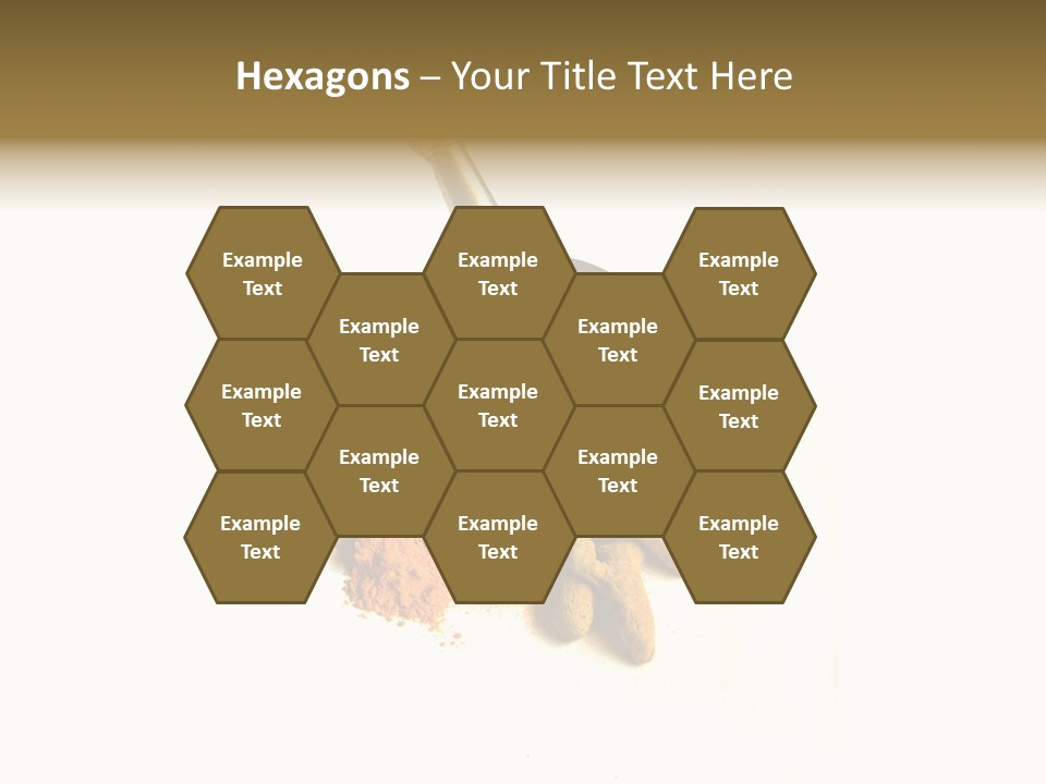 Pungent Spice Coriander PowerPoint Template