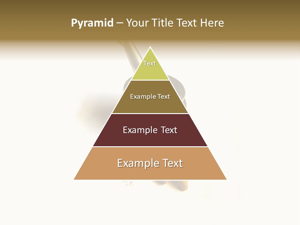 Pungent Spice Coriander PowerPoint Template