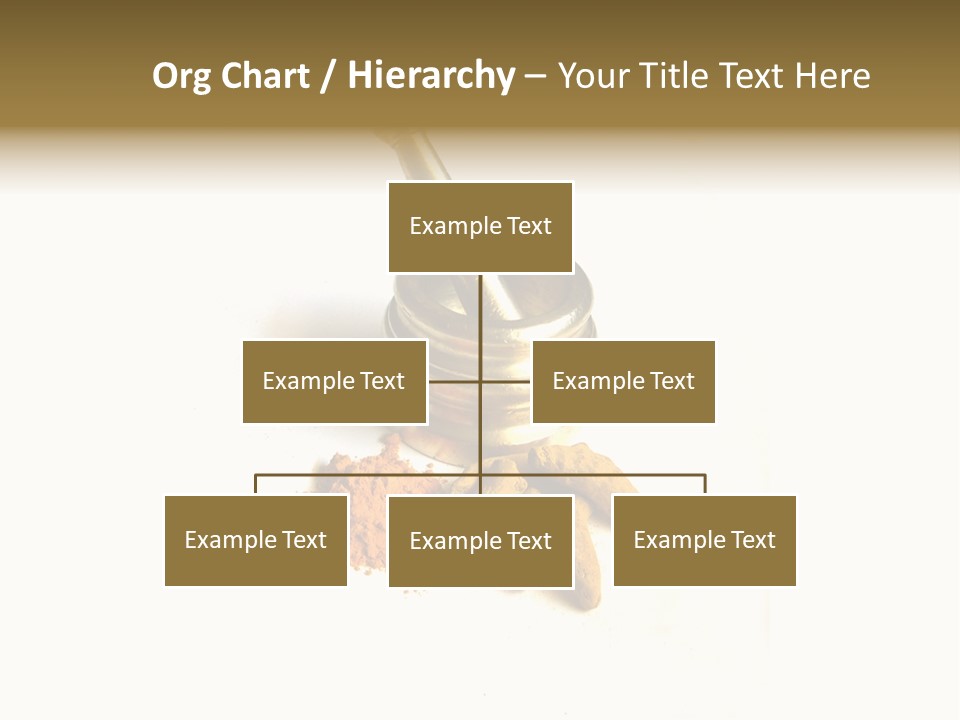 Pungent Spice Coriander PowerPoint Template