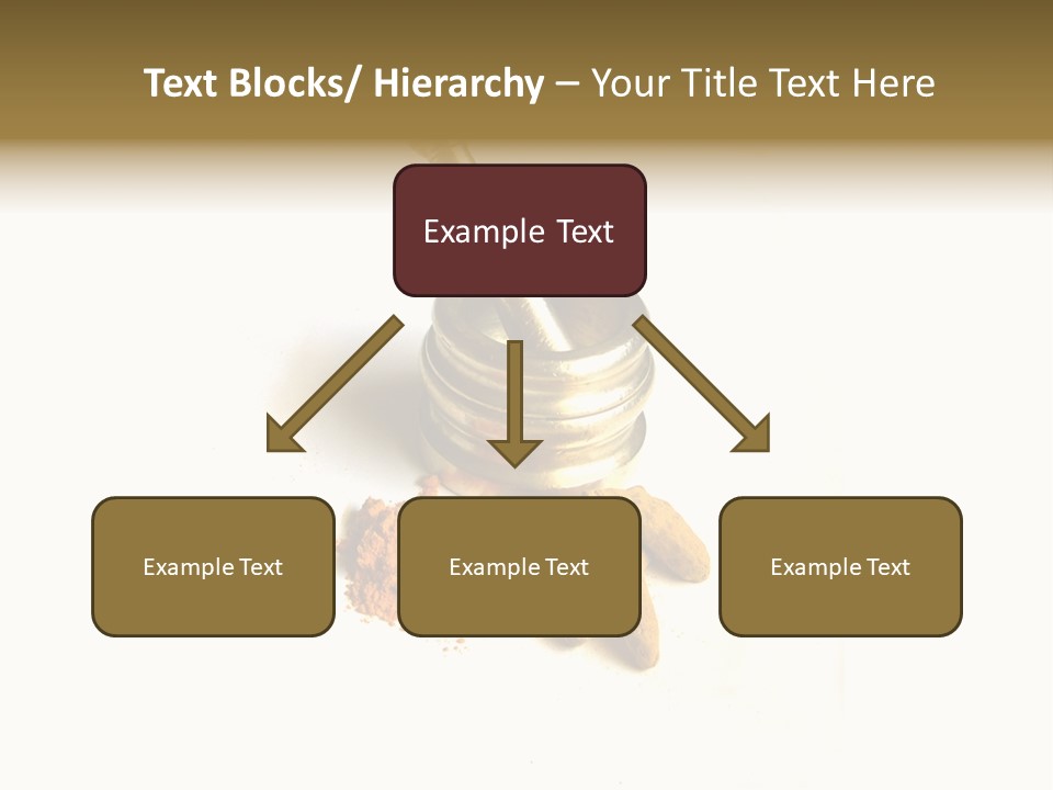 Pungent Spice Coriander PowerPoint Template