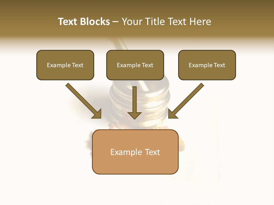 Pungent Spice Coriander PowerPoint Template