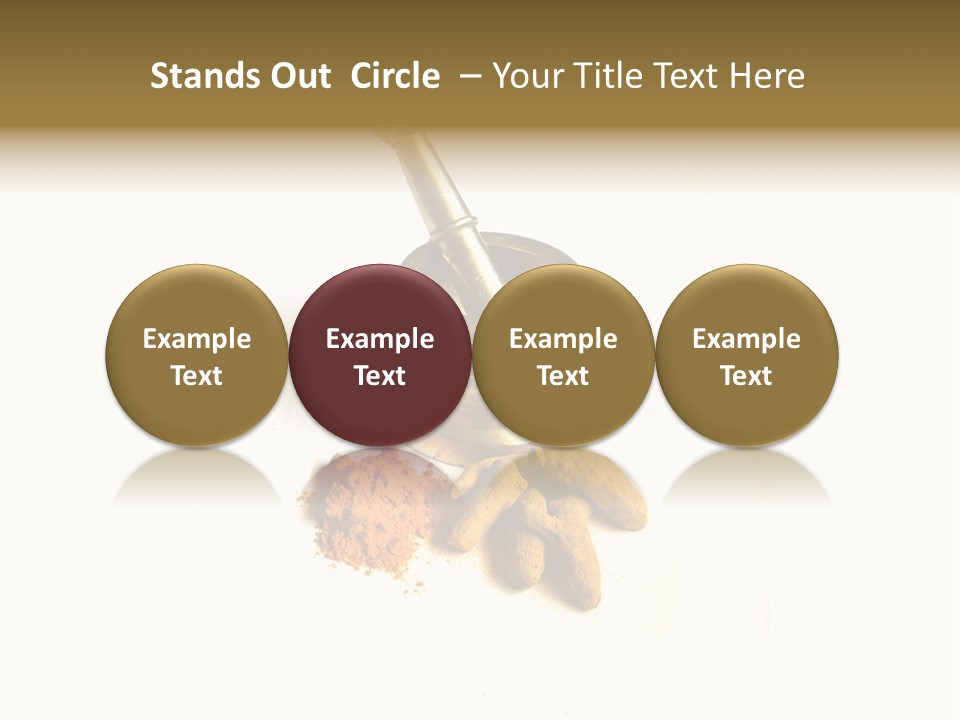 Pungent Spice Coriander PowerPoint Template