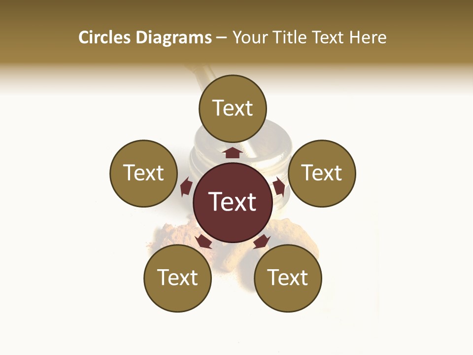 Pungent Spice Coriander PowerPoint Template