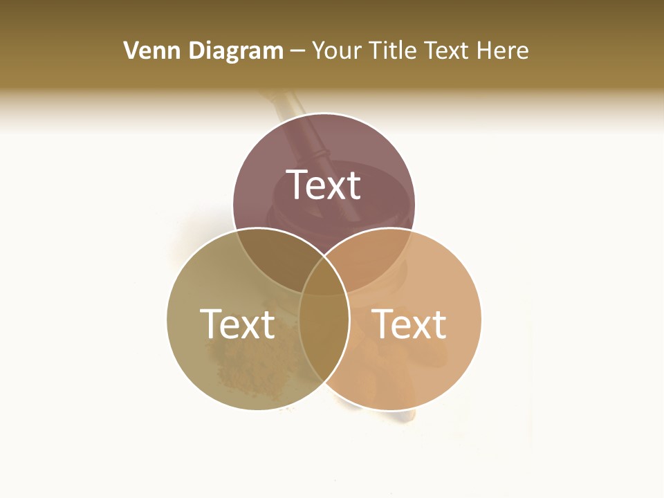 Pungent Spice Coriander PowerPoint Template