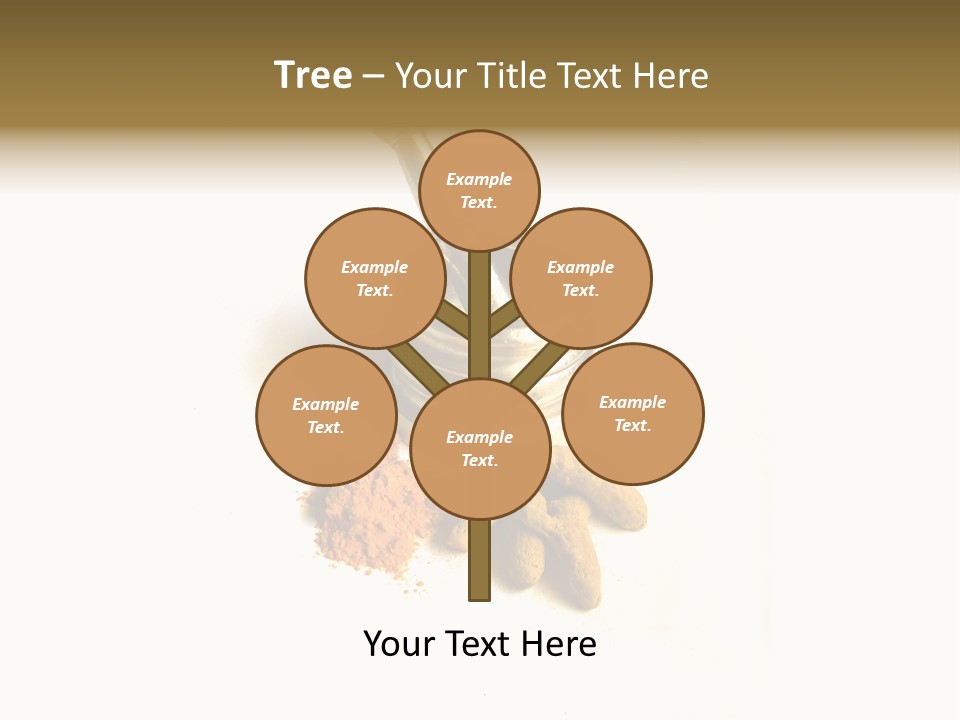 Pungent Spice Coriander PowerPoint Template