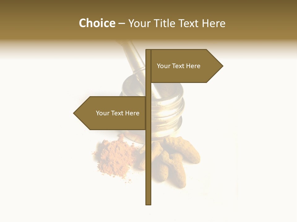 Pungent Spice Coriander PowerPoint Template