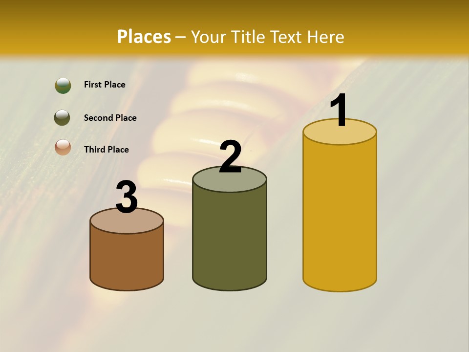 Series Closeup Silk PowerPoint Template