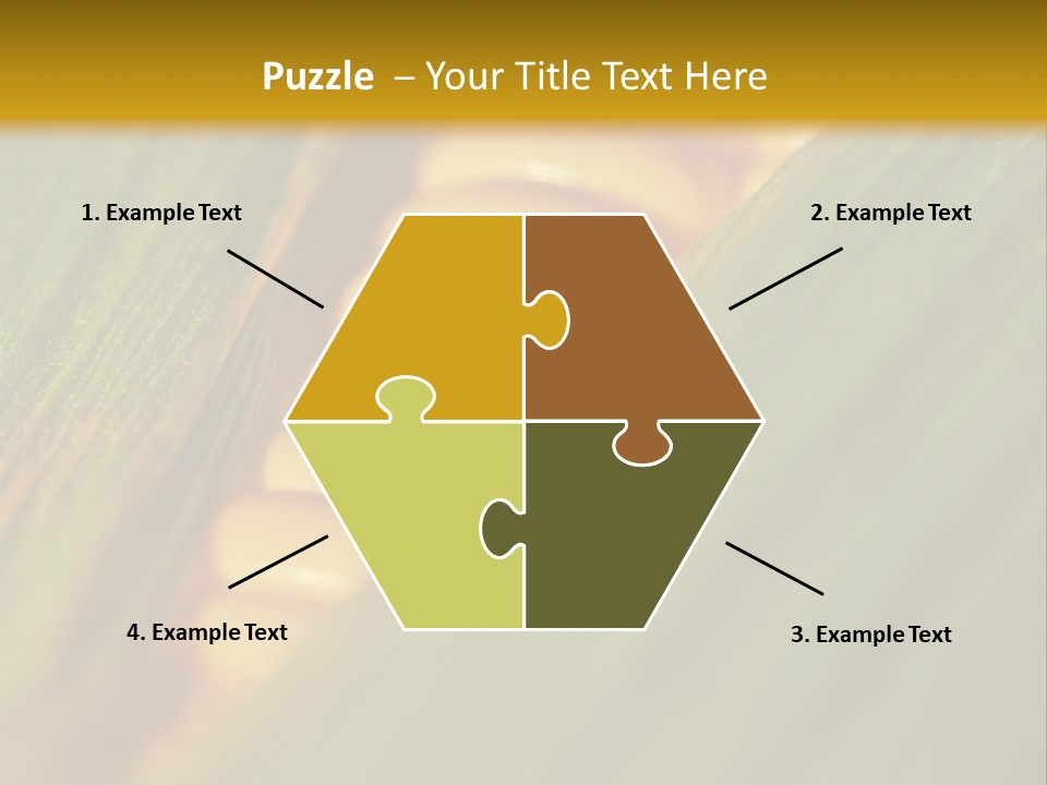 Series Closeup Silk PowerPoint Template