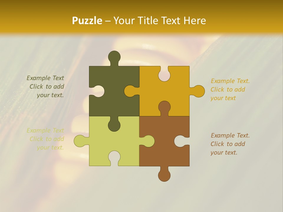 Series Closeup Silk PowerPoint Template