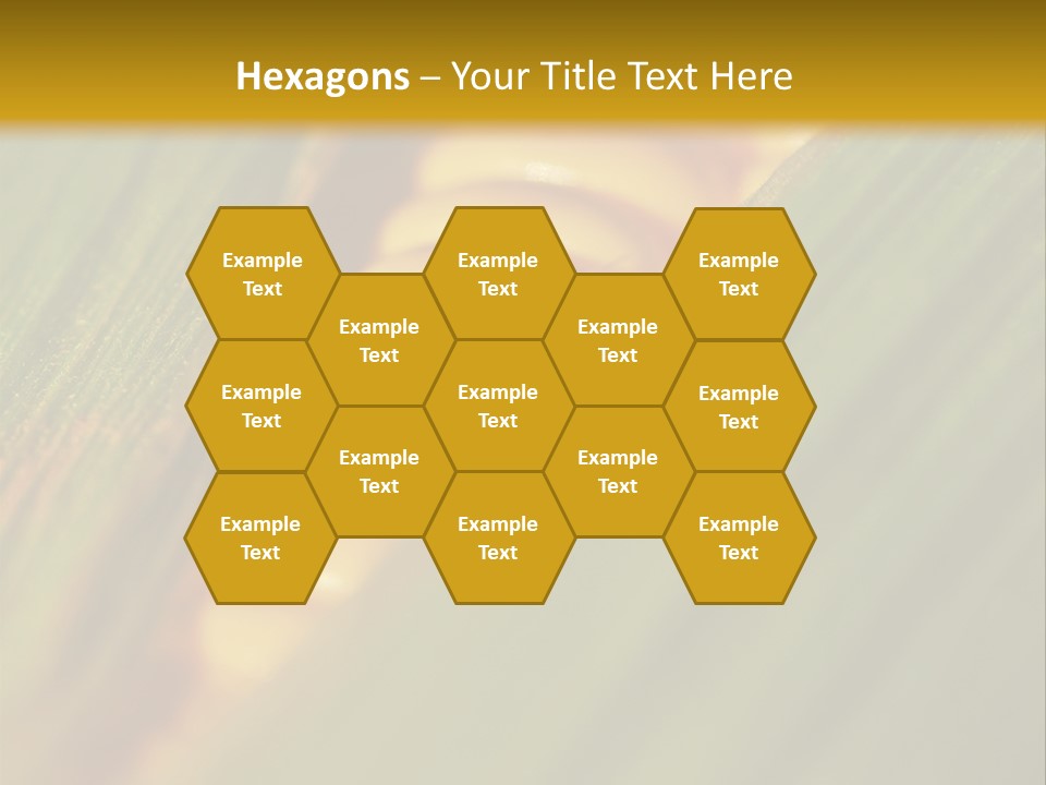 Series Closeup Silk PowerPoint Template