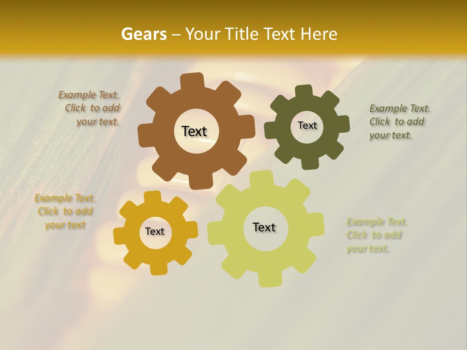 Series Closeup Silk PowerPoint Template
