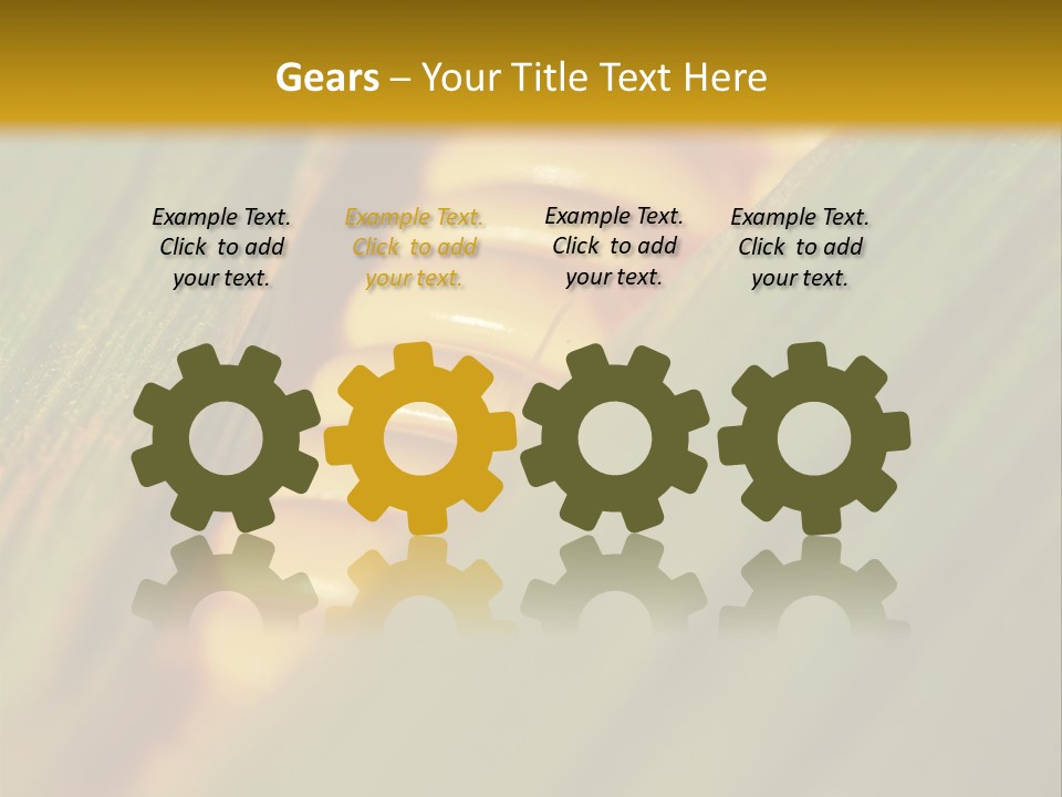 Series Closeup Silk PowerPoint Template