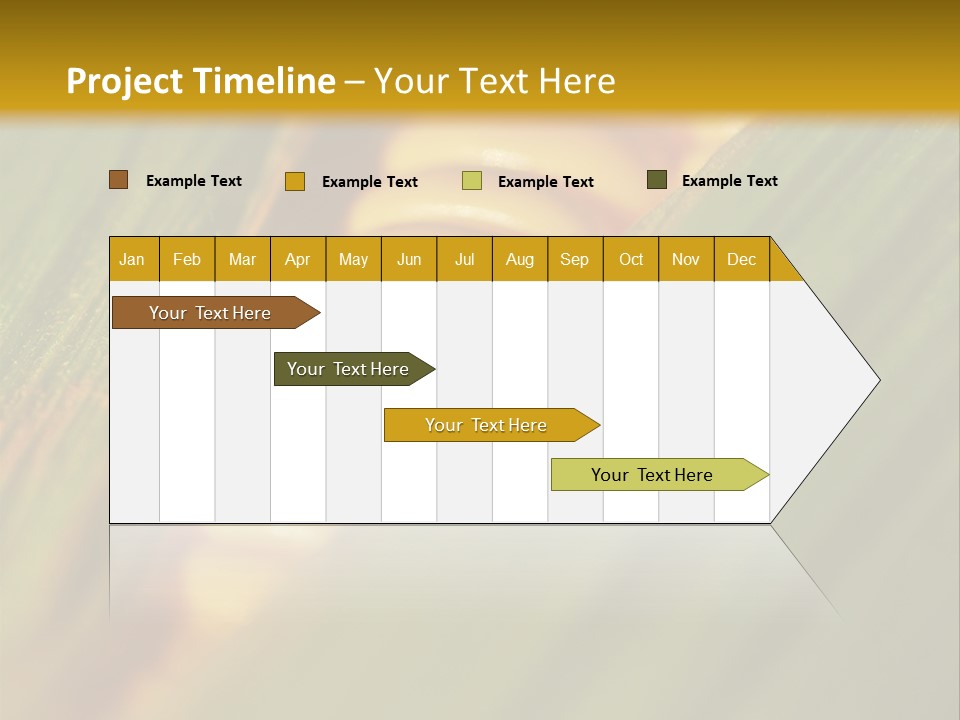Series Closeup Silk PowerPoint Template
