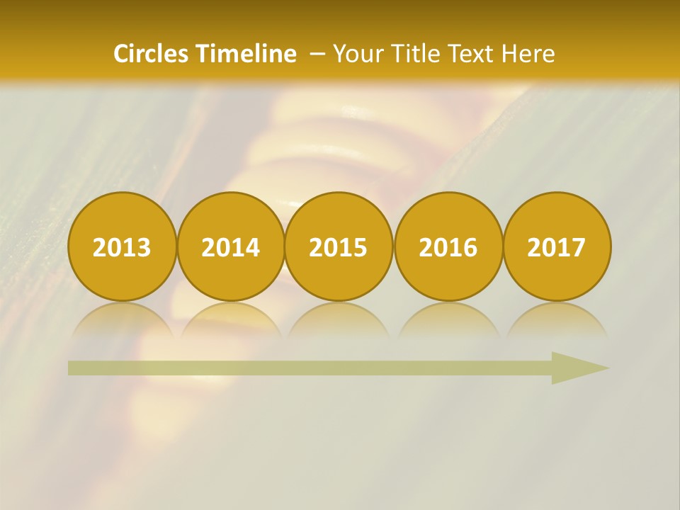 Series Closeup Silk PowerPoint Template