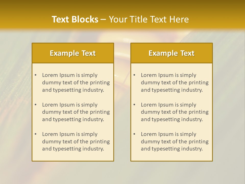Series Closeup Silk PowerPoint Template