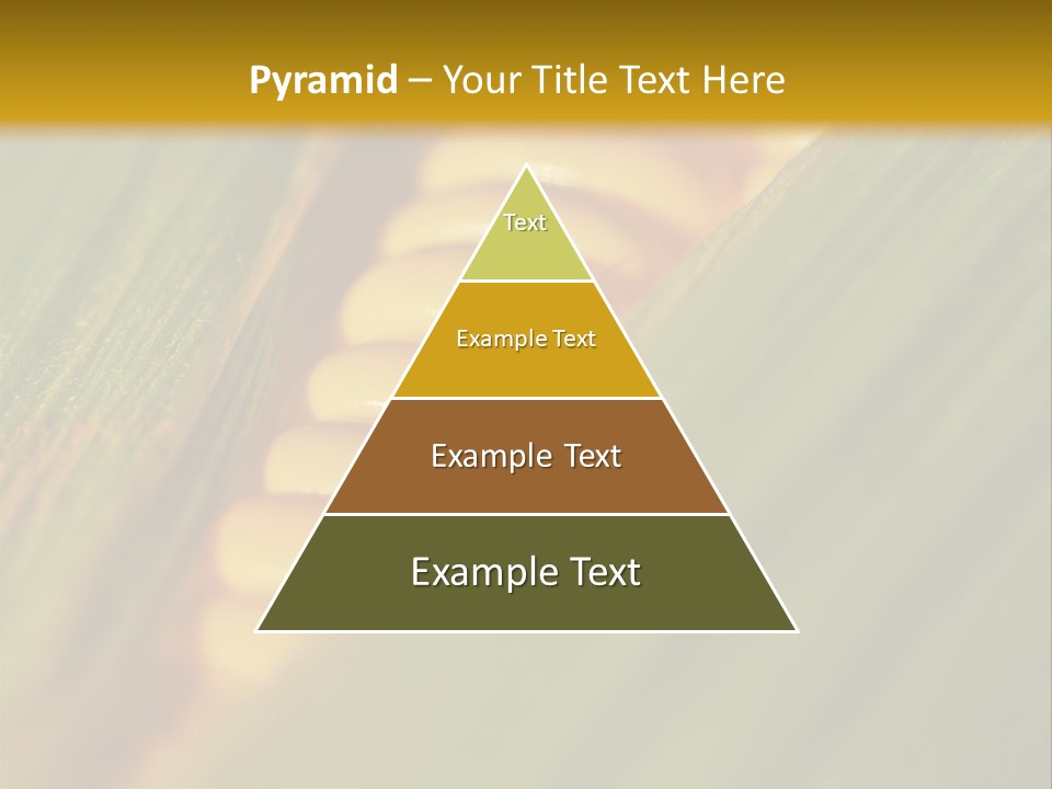 Series Closeup Silk PowerPoint Template