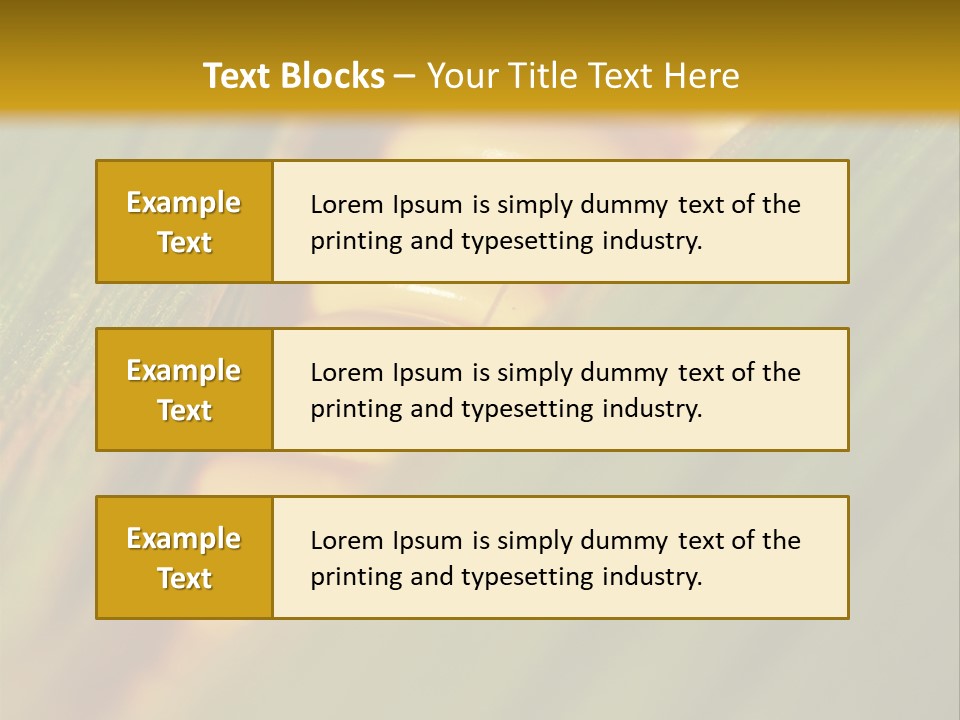 Series Closeup Silk PowerPoint Template