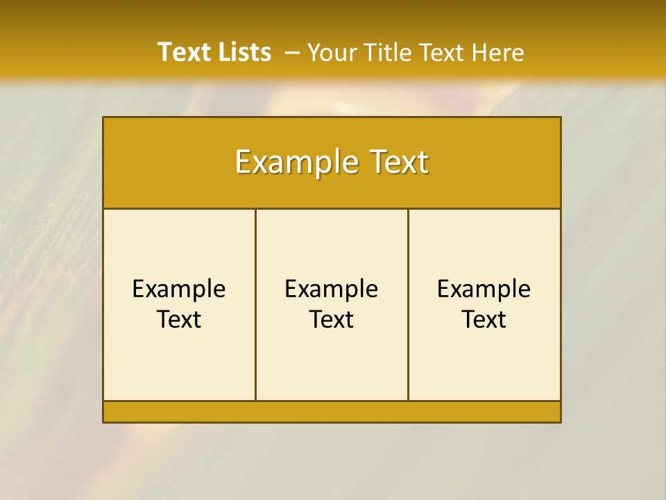 Series Closeup Silk PowerPoint Template