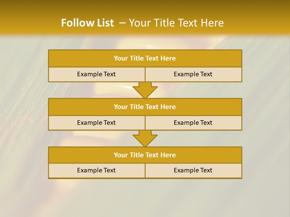 Series Closeup Silk PowerPoint Template