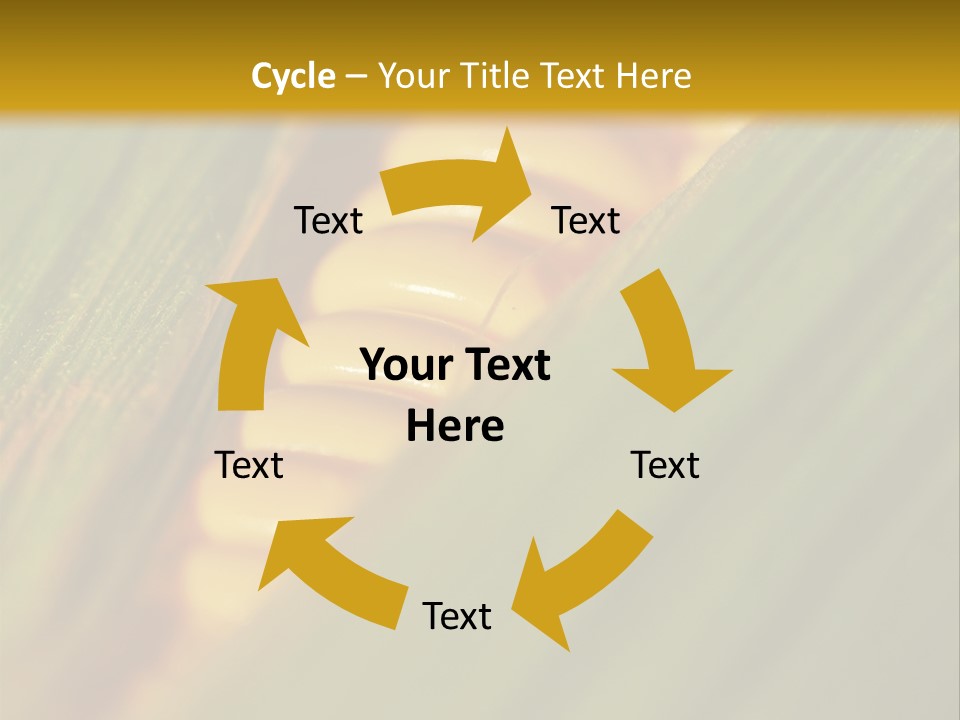 Series Closeup Silk PowerPoint Template
