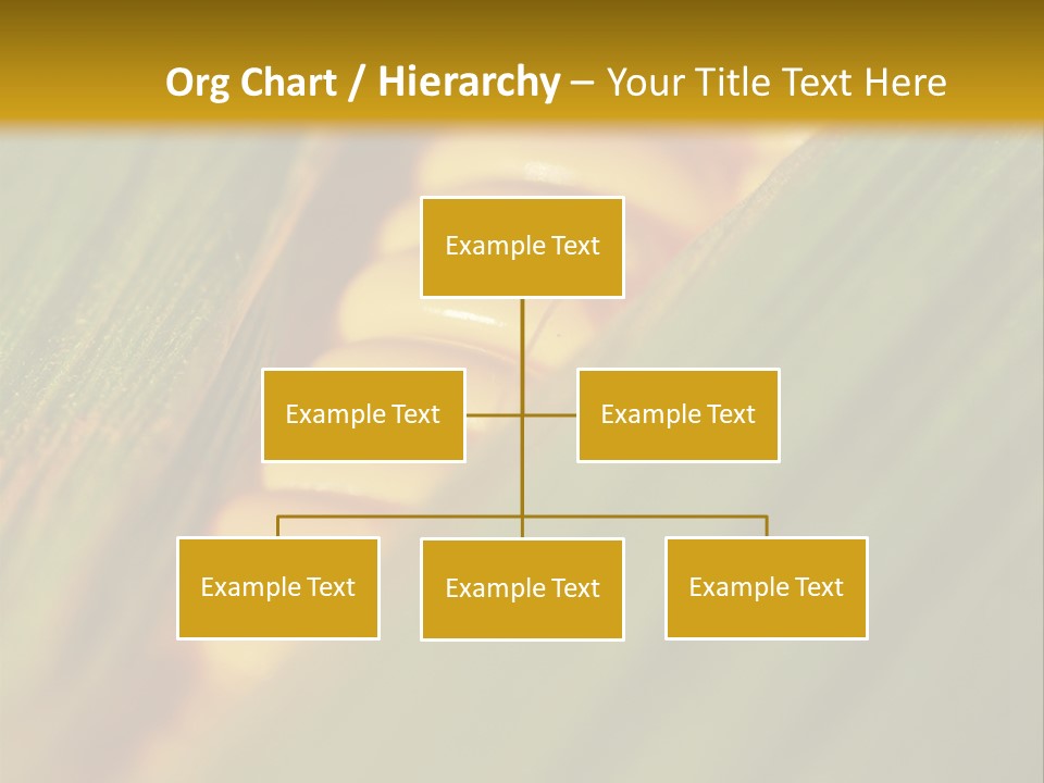 Series Closeup Silk PowerPoint Template