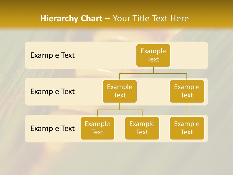 Series Closeup Silk PowerPoint Template