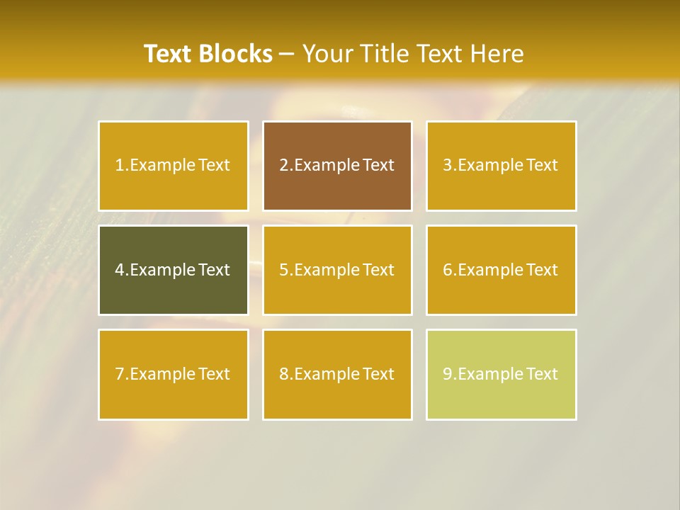 Series Closeup Silk PowerPoint Template