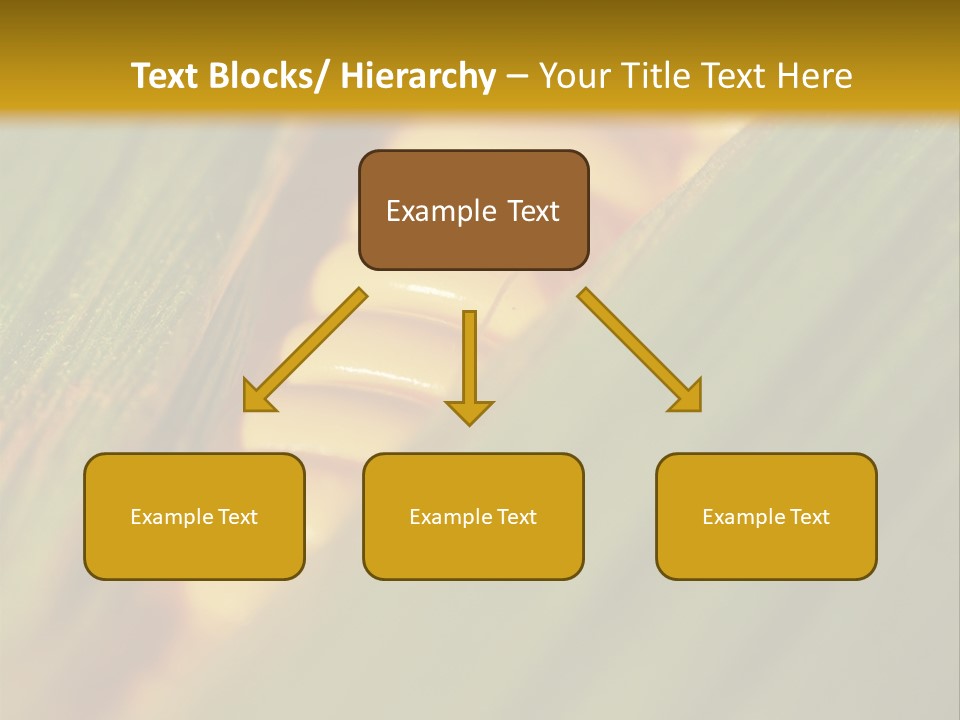 Series Closeup Silk PowerPoint Template