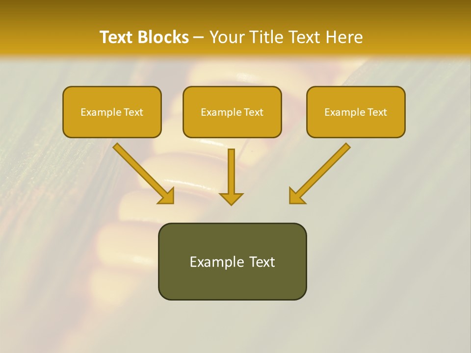 Series Closeup Silk PowerPoint Template