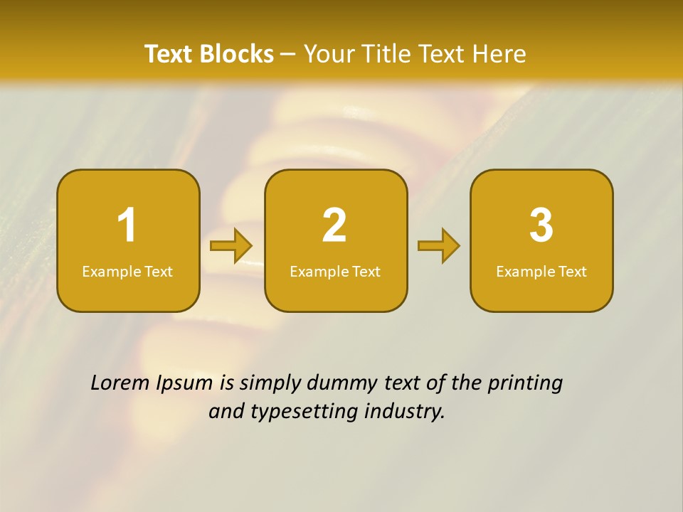 Series Closeup Silk PowerPoint Template