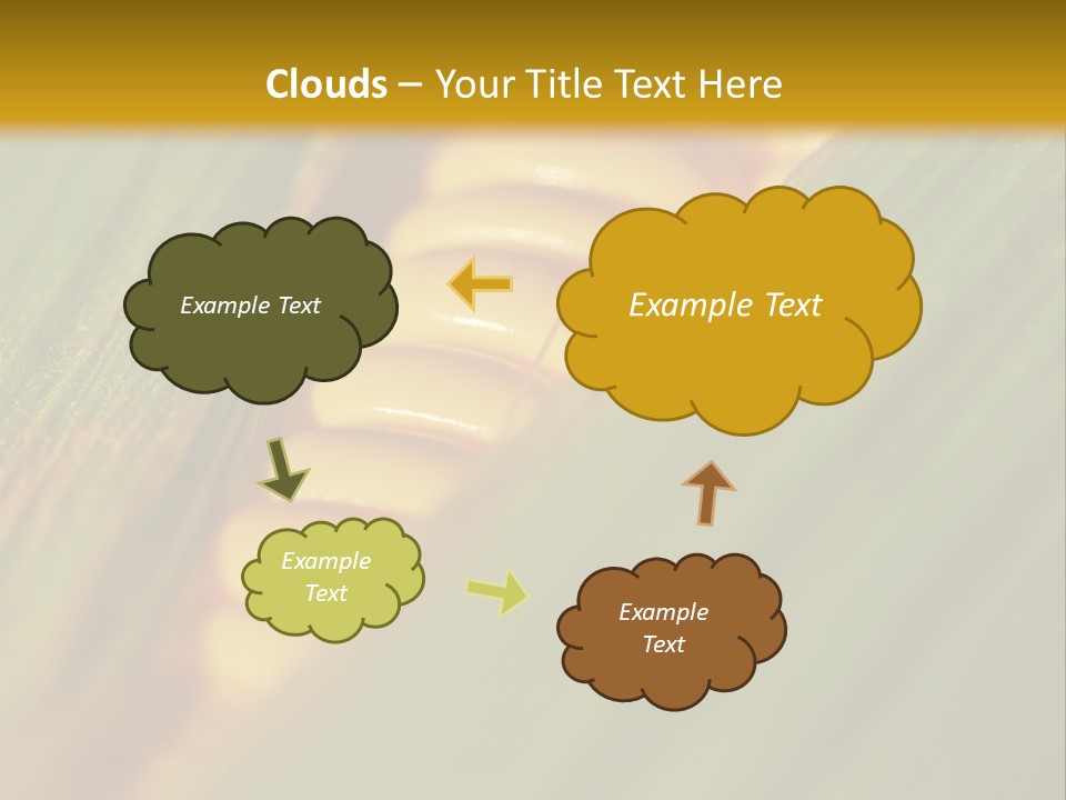 Series Closeup Silk PowerPoint Template