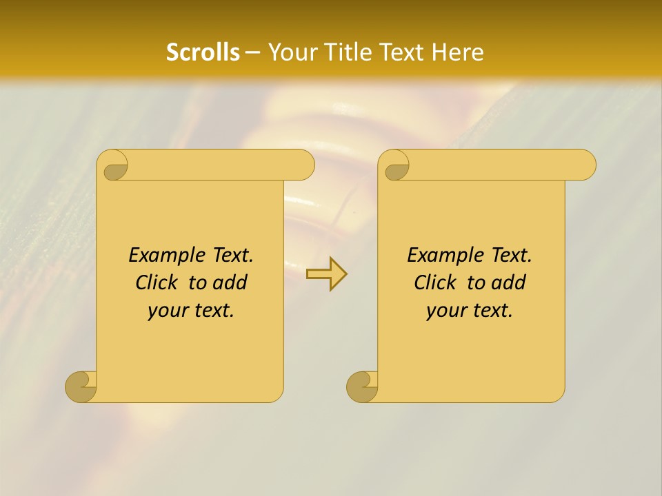Series Closeup Silk PowerPoint Template