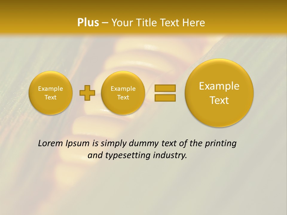 Series Closeup Silk PowerPoint Template