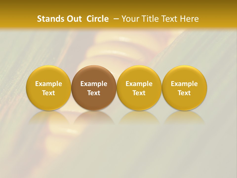 Series Closeup Silk PowerPoint Template