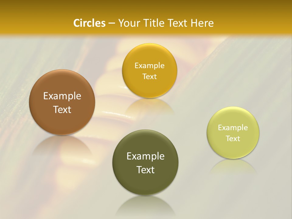 Series Closeup Silk PowerPoint Template