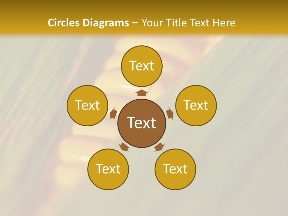 Series Closeup Silk PowerPoint Template