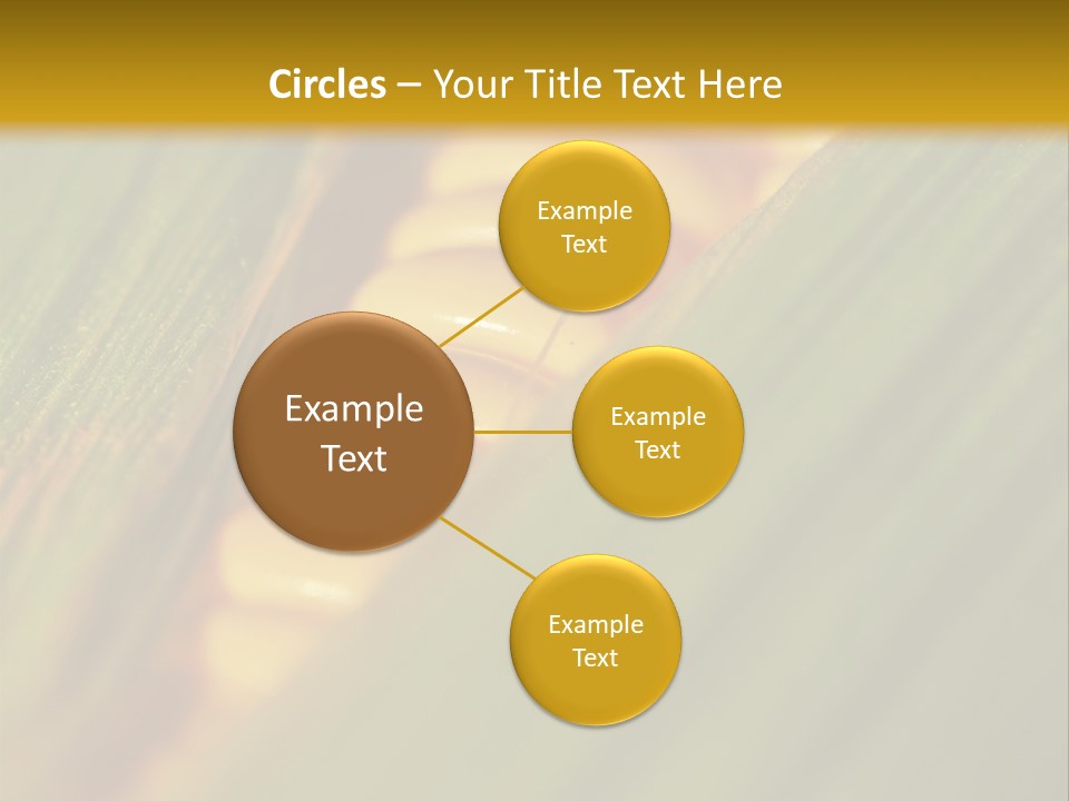 Series Closeup Silk PowerPoint Template