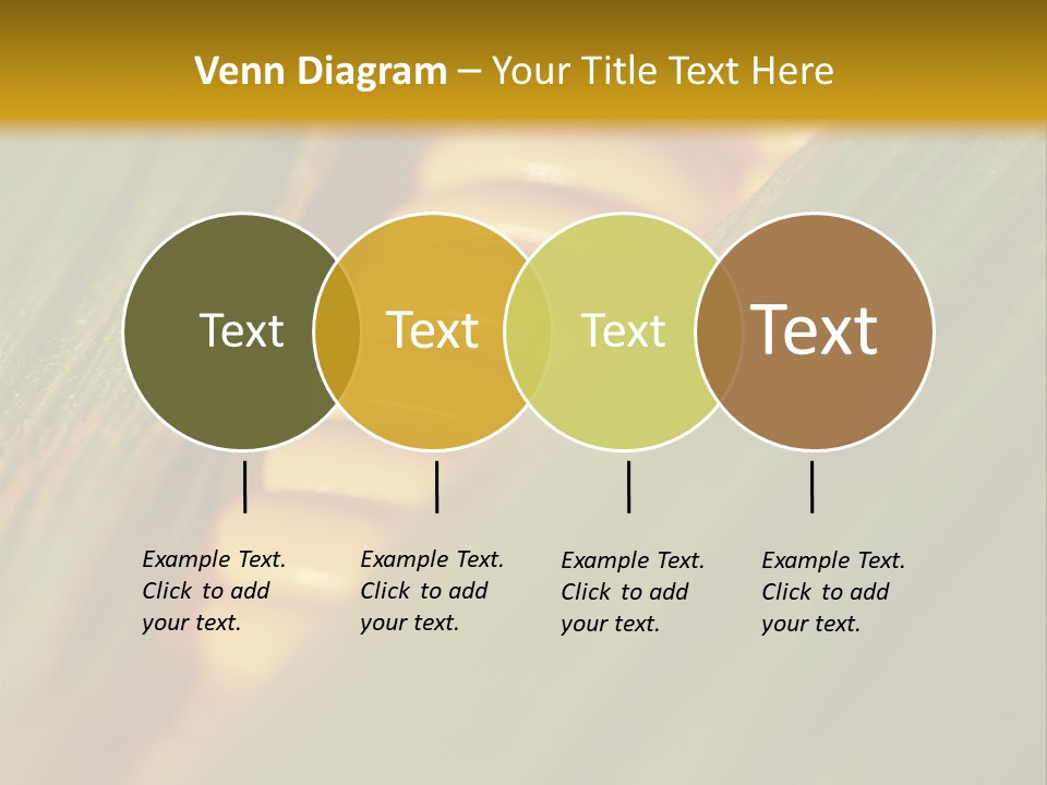 Series Closeup Silk PowerPoint Template