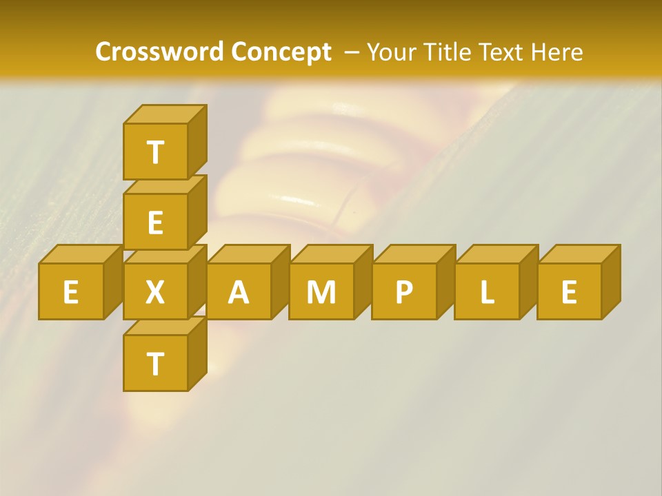 Series Closeup Silk PowerPoint Template