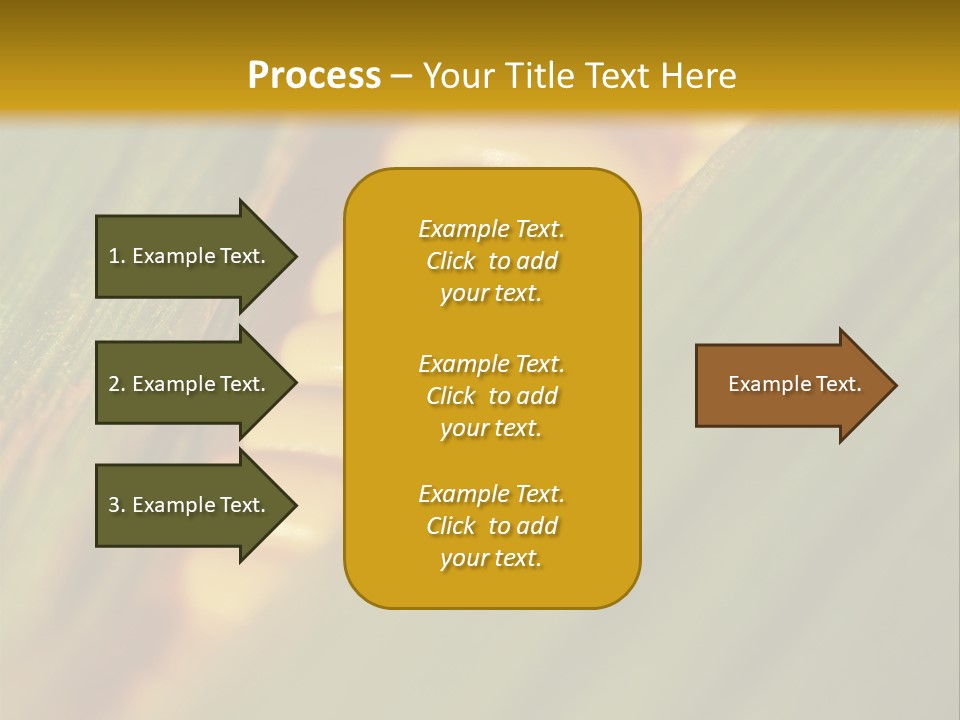 Series Closeup Silk PowerPoint Template
