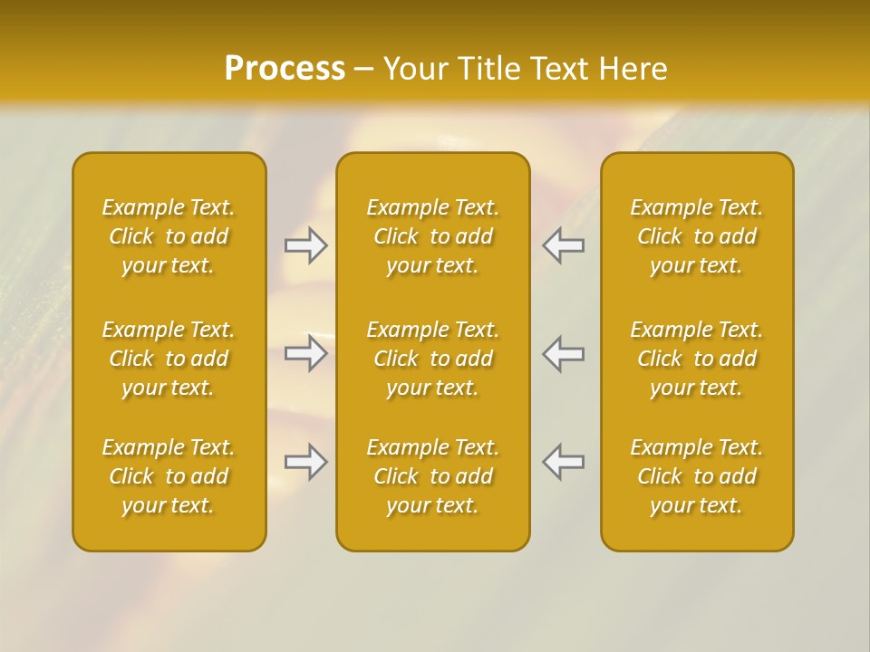 Series Closeup Silk PowerPoint Template