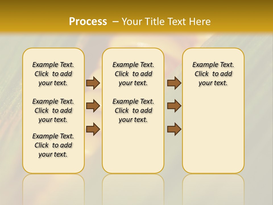 Series Closeup Silk PowerPoint Template