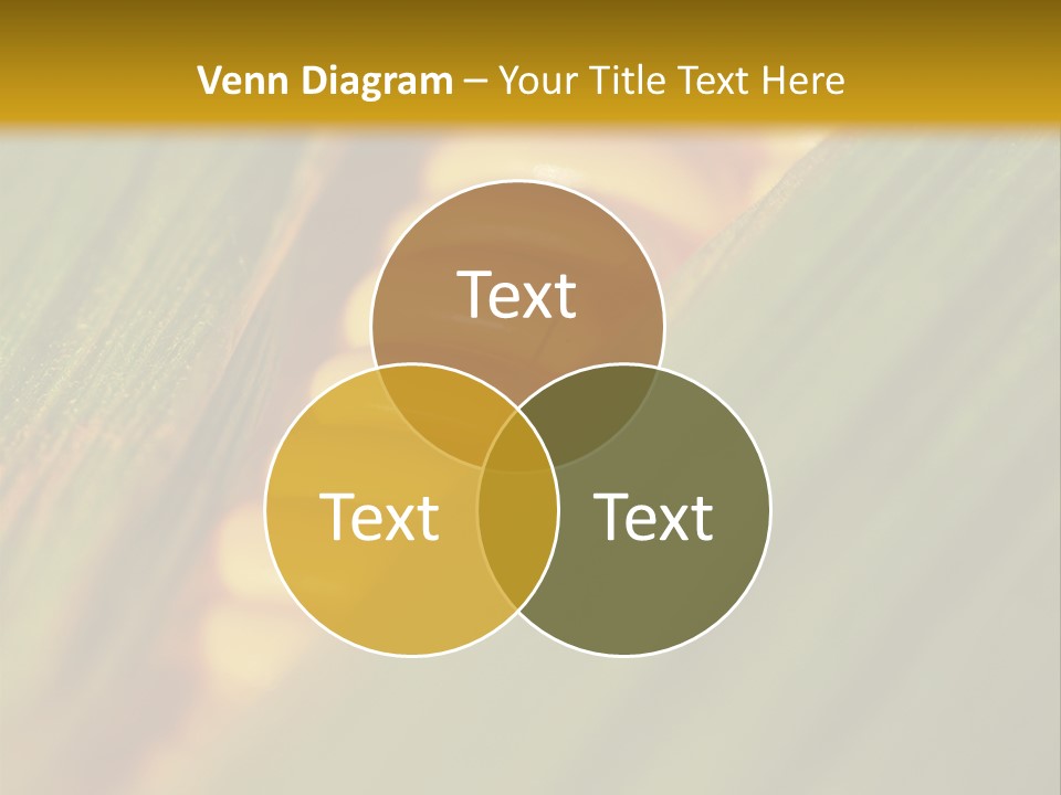 Series Closeup Silk PowerPoint Template