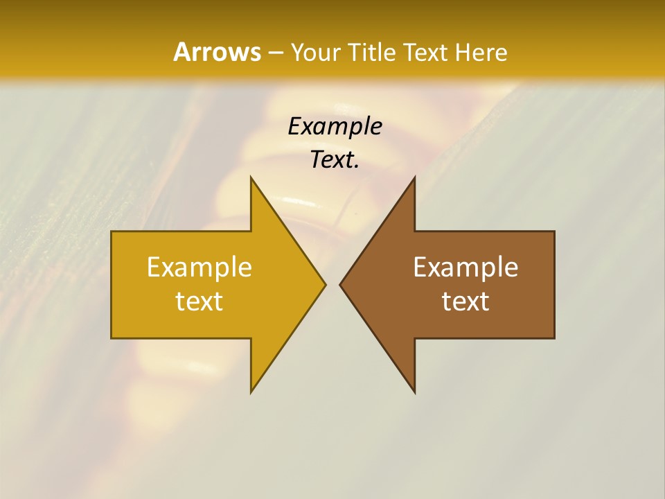 Series Closeup Silk PowerPoint Template