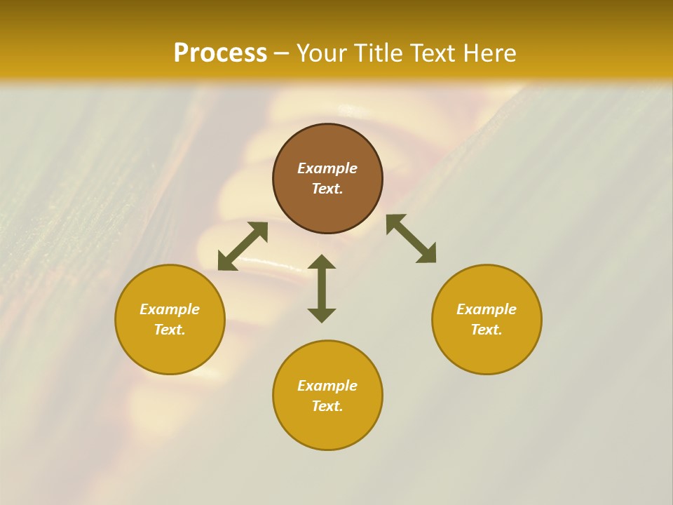 Series Closeup Silk PowerPoint Template