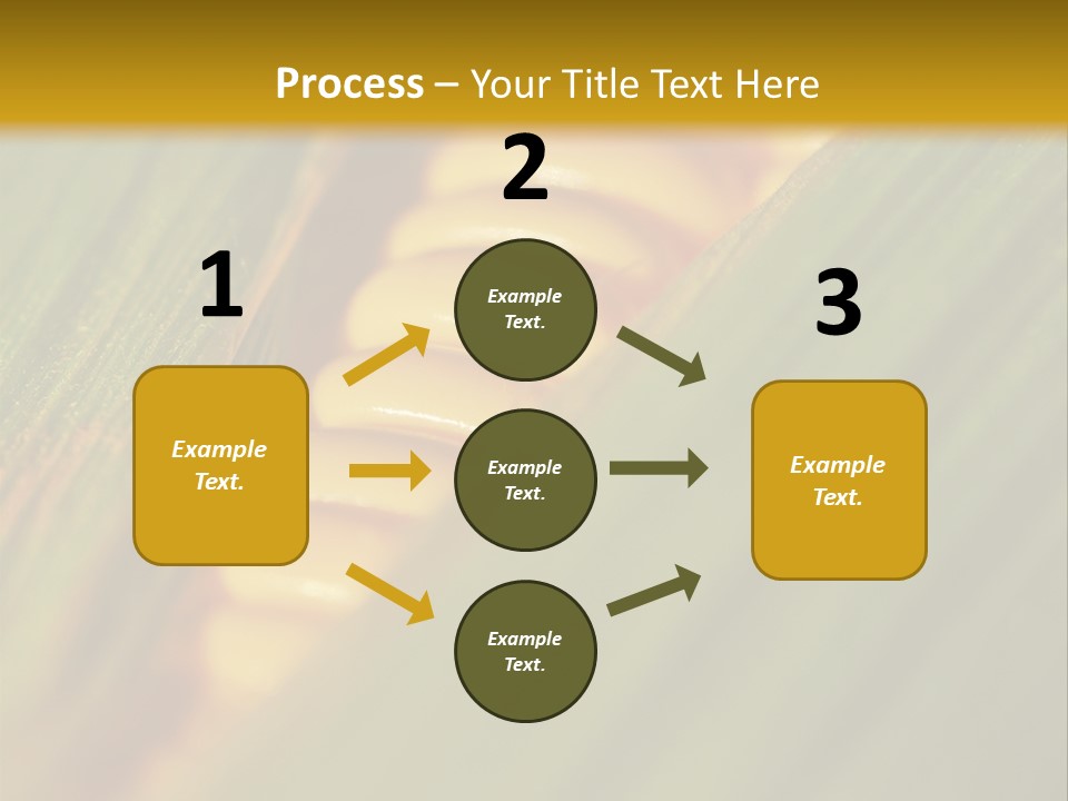 Series Closeup Silk PowerPoint Template