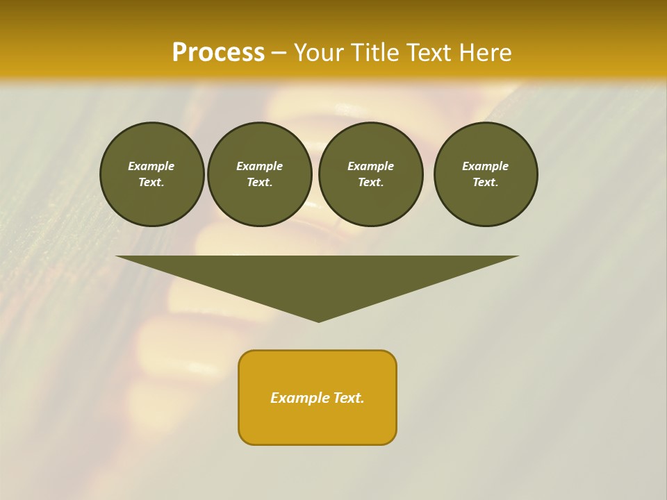 Series Closeup Silk PowerPoint Template
