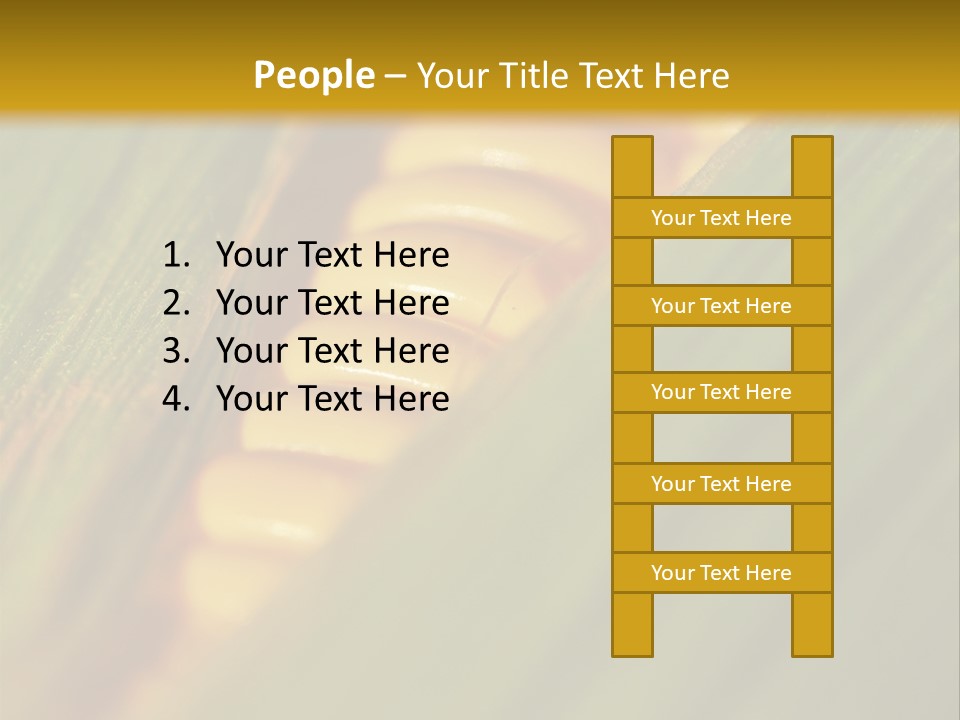 Series Closeup Silk PowerPoint Template