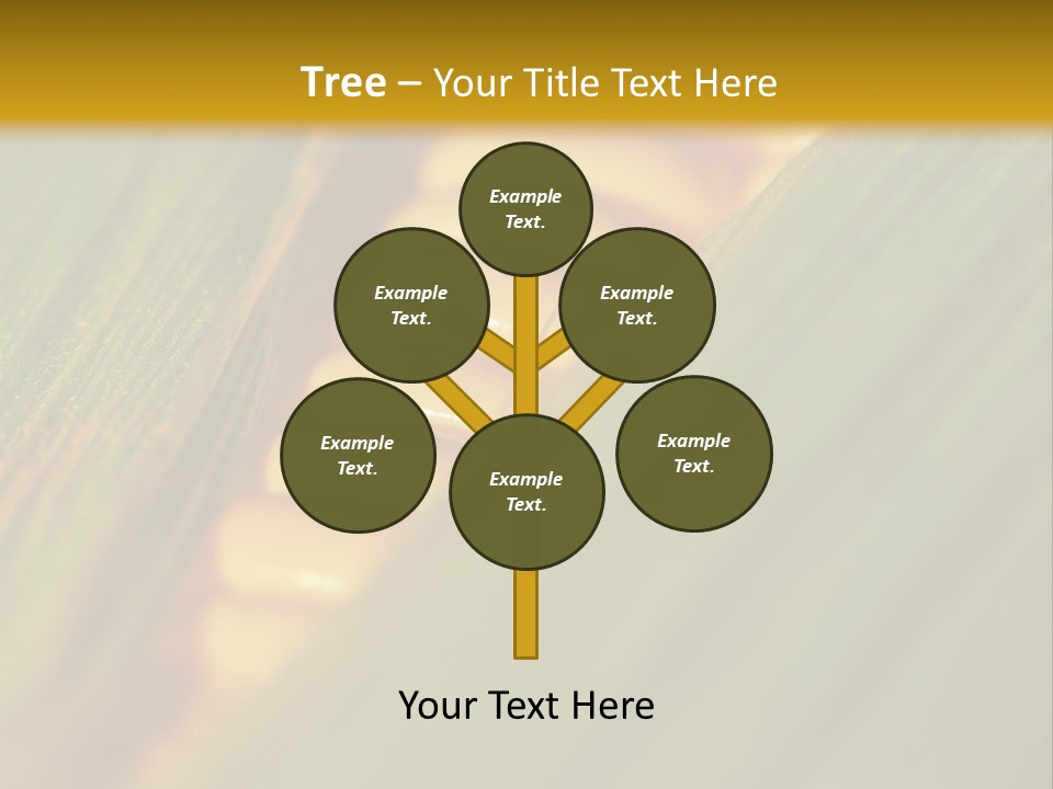 Series Closeup Silk PowerPoint Template